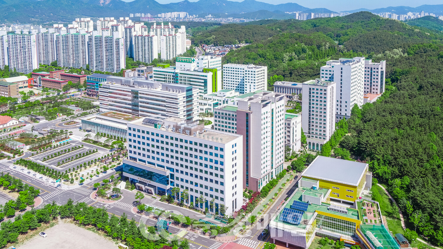 [충청매일] ‘취업 명문’ 명성, 미래 대한민국을 이끌다!