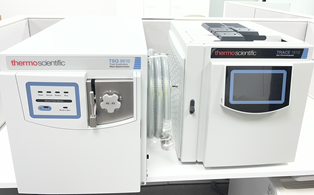 가스크로마토그래피 삼중사중극자질량분석기